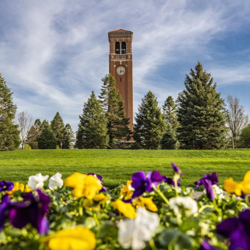 The Campanile in the Spring