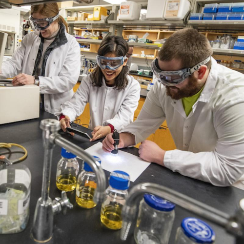 Students participating in a lab